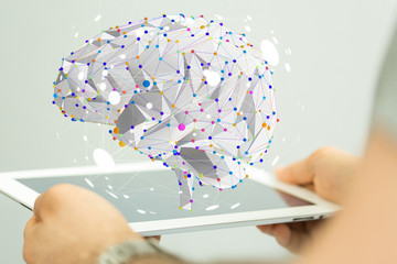 山东泰山阳光集团的分公司