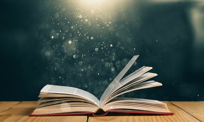 山东泰山阳光集团的分公司