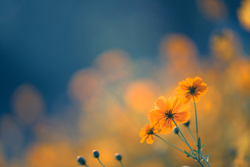 中国十大房地产开发商都是谁 你知道吗