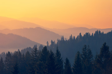 吴亚军的人物事件