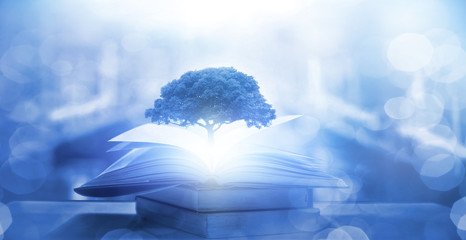 房产销售人员需要什么专业知识和技巧呢-