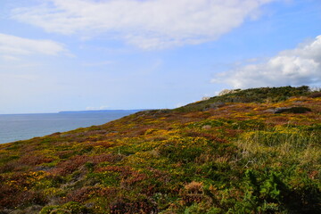 便宜女生开的车国产车