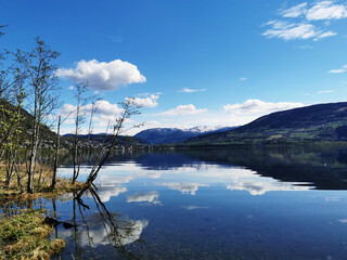 吴亚军的人物事件