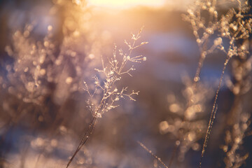便宜女生开的车国产车