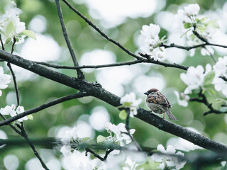 我国最好的汽车是什么牌子的？