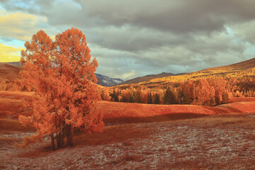 中国十大房地产开发商都是谁 你知道吗