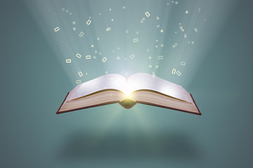 山东泰山阳光集团的分公司