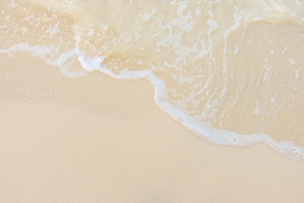 山东泰山阳光集团的分公司