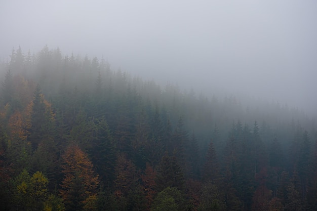 三国演义木马流牛的故事原文！要全的！