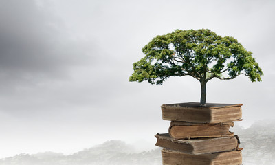 便宜女生开的车国产车