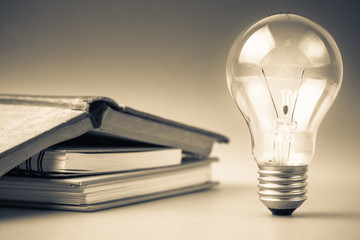 山东泰山阳光集团的分公司