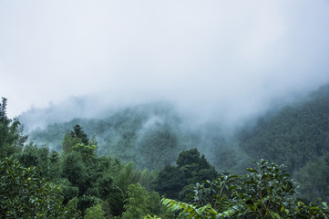 三国演义木马流牛的故事原文！要全的！